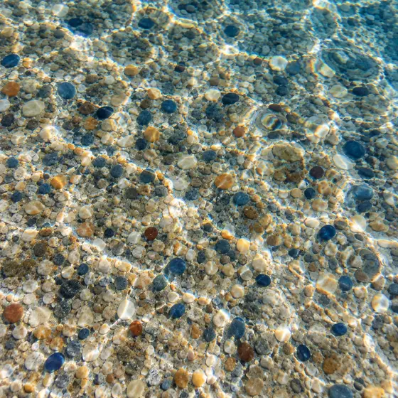 Exposed pebble pool finish in tan, gray and blue stones